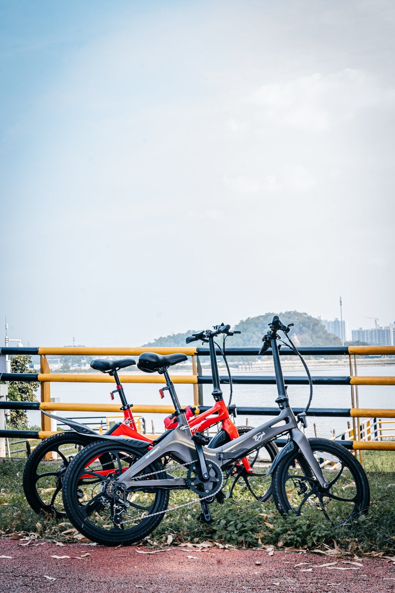 Bicicletta ONEBOT S9 Eagle E-bike (EU) - PORTABILE.EU