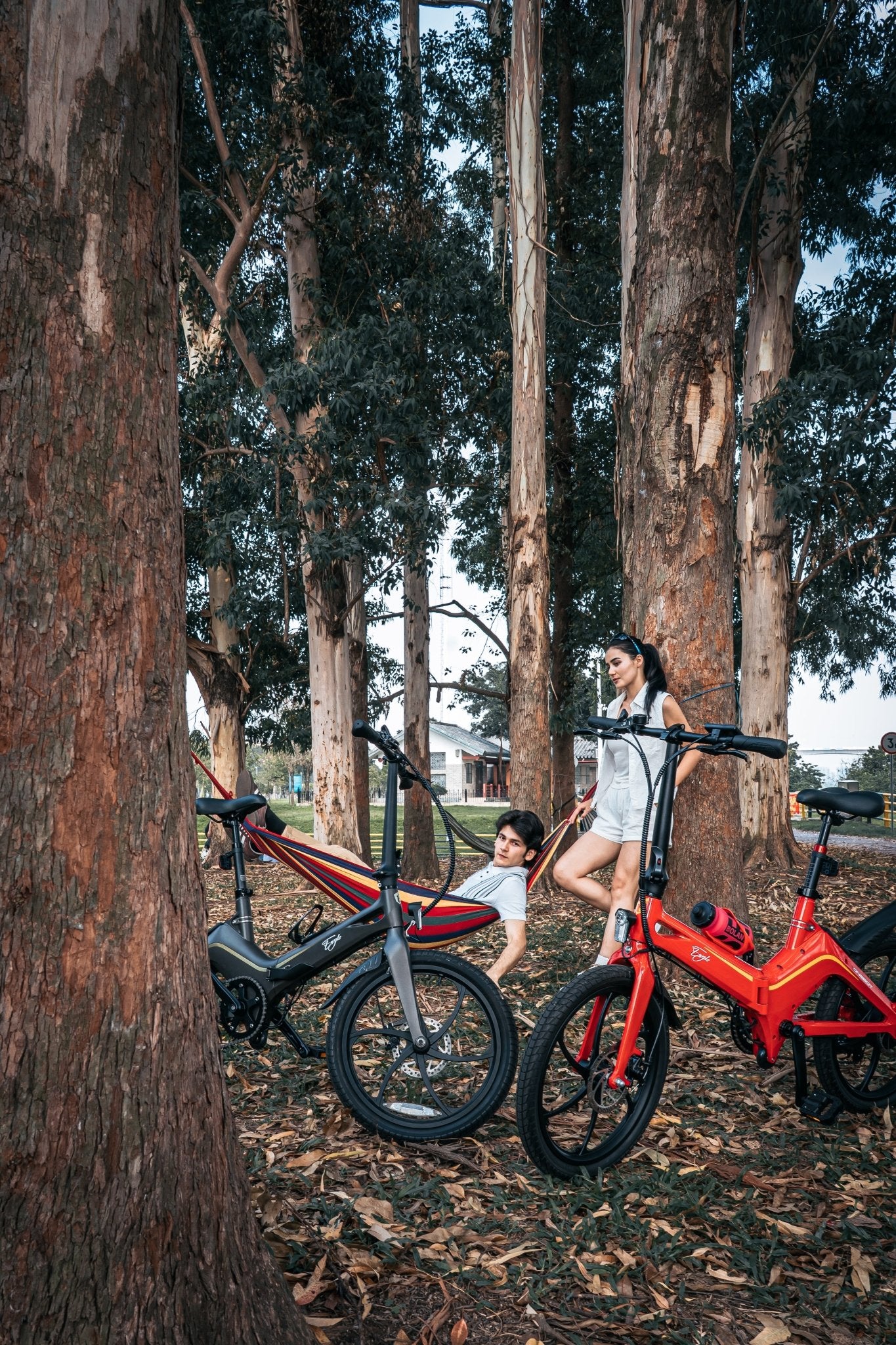 Bicicletta ONEBOT S9 Eagle E-bike (EU) - PORTABILE.EU
