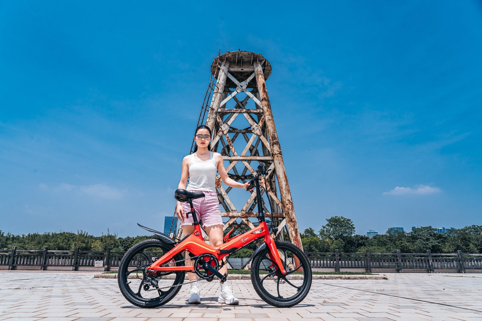 Bicicletta ONEBOT S9 Eagle E-bike (EU) - PORTABILE.EU