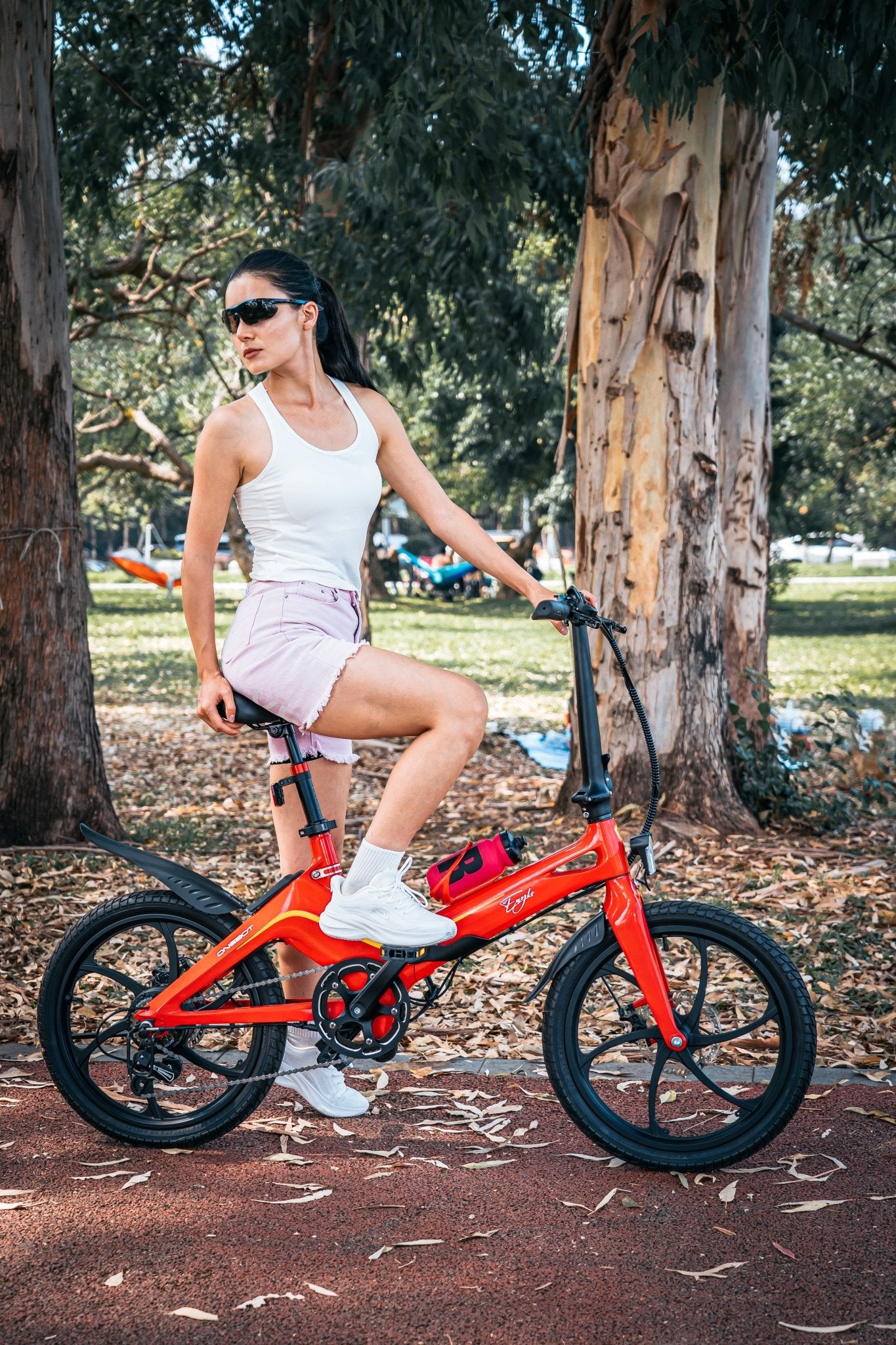 Bicicletta ONEBOT S9 Eagle E-bike (EU) - PORTABILE.EU